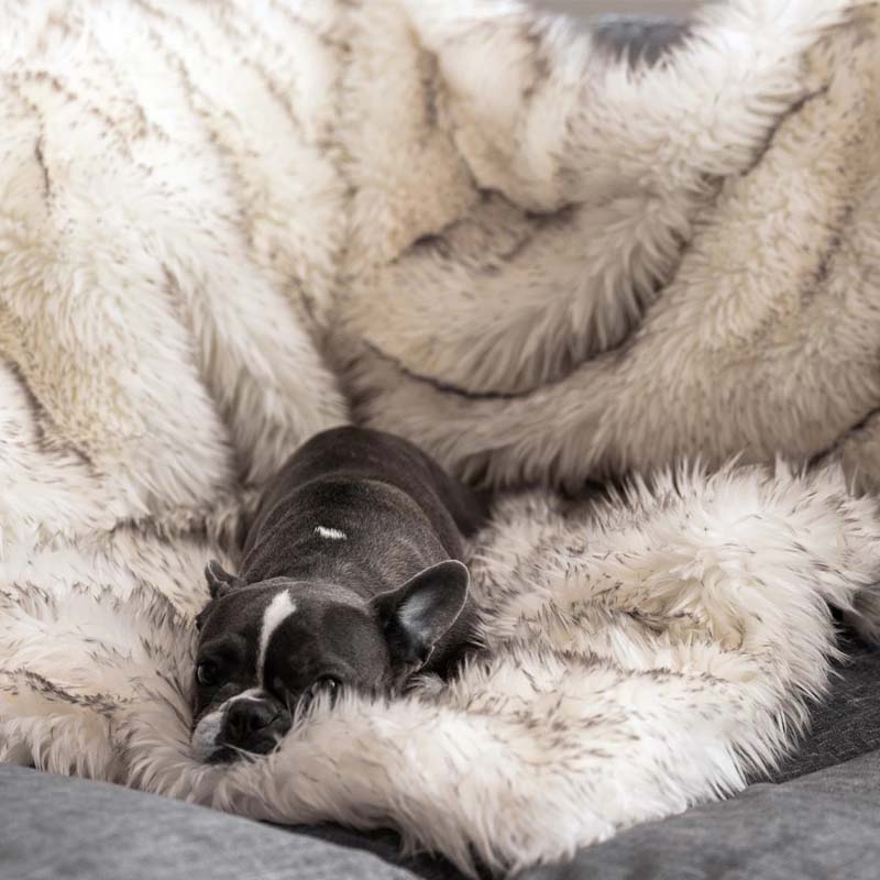 Travel-friendly waterproof pet blanket for dogs & cats. Reversible faux fur & microsuede, ideal for car & crates.