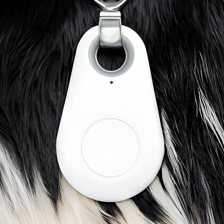 Small waterproof GPS tracker attached to a dog's collar. Ideal for pet safety & anti-loss tracking.