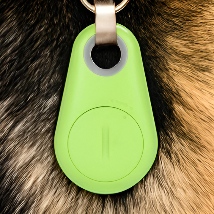 Durable waterproof GPS tracker on a cat running outdoors. Provides anti-loss tracking & pet safety.