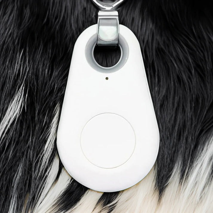 Durable waterproof GPS dog tracker. Smart anti-lost device for real-time location & pet safety.
