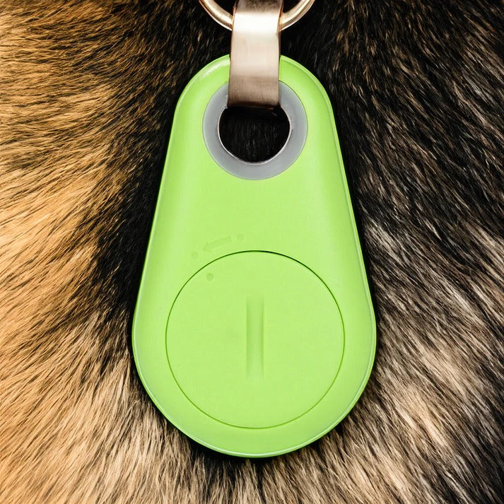 Smart GPS pet tracker with real-time tracking for dogs & cats. Waterproof anti-lost device for peace of mind.