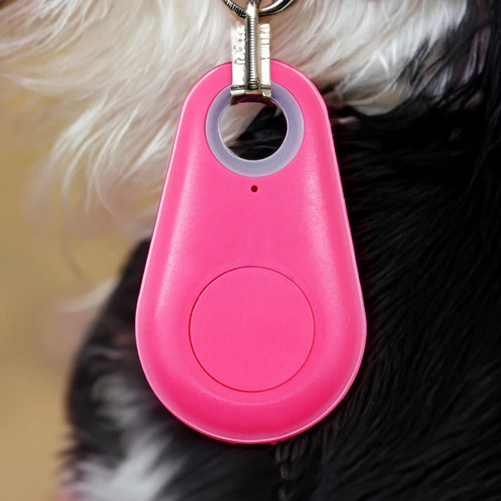Anti-lost waterproof GPS tracker for pets. Secure smart device provides real-time location & pet safety.