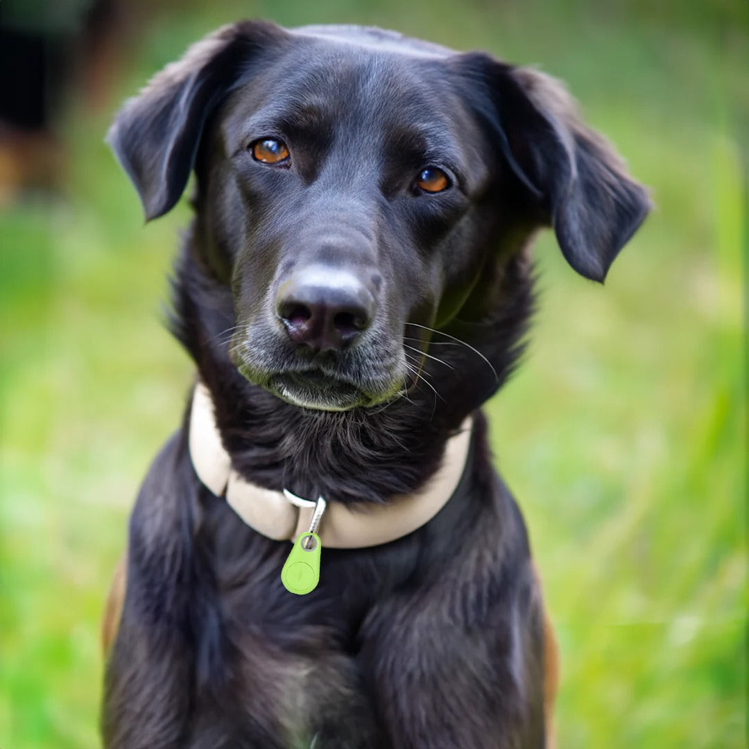 Advanced waterproof smart GPS tracker for all pets. Real-time tracking & anti-lost features for pet safety.