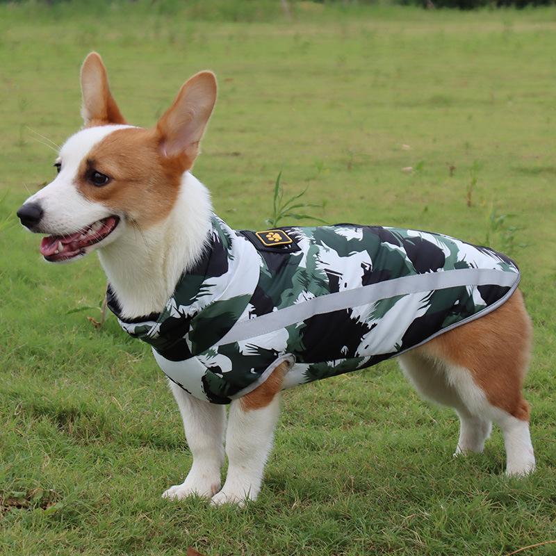 Waterproof winter dog jacket, StormGuard, for ultimate warmth & protection in cold, rainy weather. Ideal outdoor dog gear.