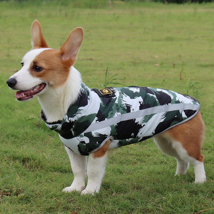 Waterproof winter dog jacket, StormGuard, for ultimate warmth & protection in cold, rainy weather. Ideal outdoor dog gear.