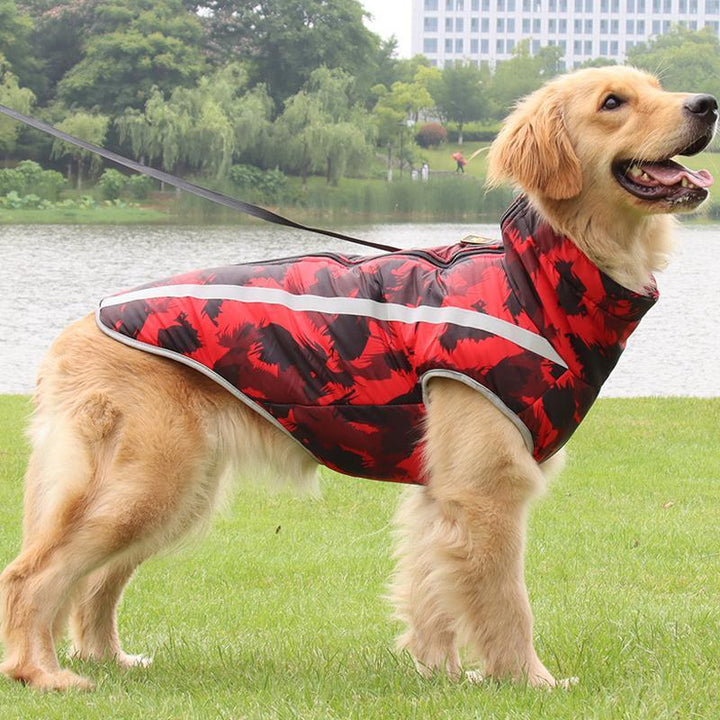 Stylish waterproof winter dog coat, StormGuard, keeps pets warm & dry. Essential cold weather dog apparel for adventures.