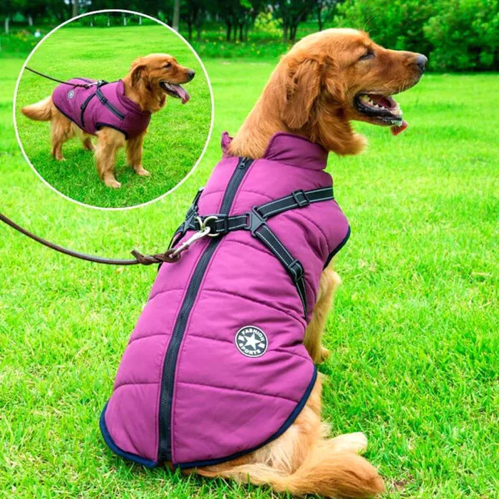 Waterproof winter dog jacket with built-in harness, warm fleece lining for outdoor adventures.