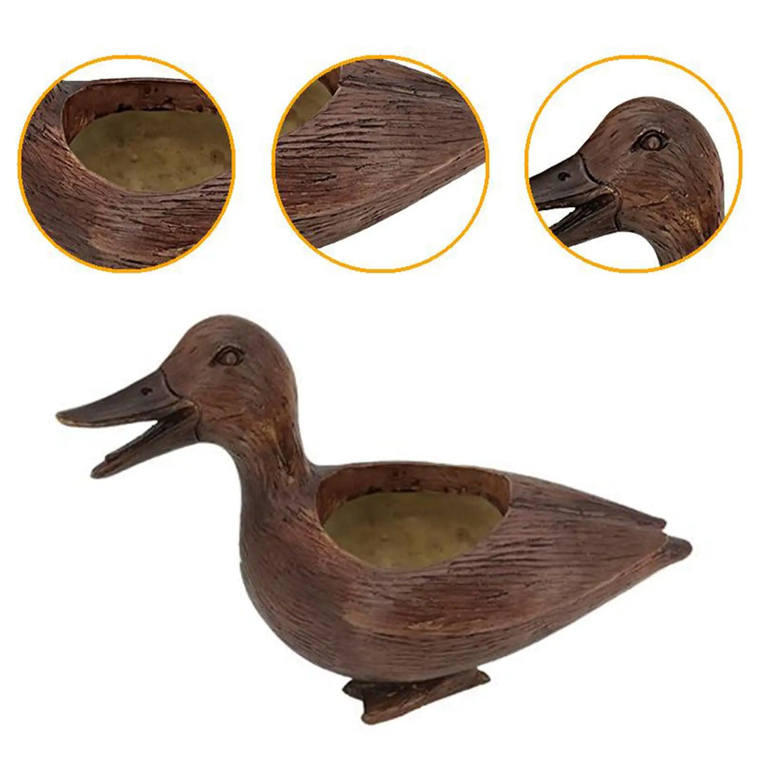 Unique duck planter for indoor plants, a delightful statue and flowerpot for succulents or as a desk decor gift.