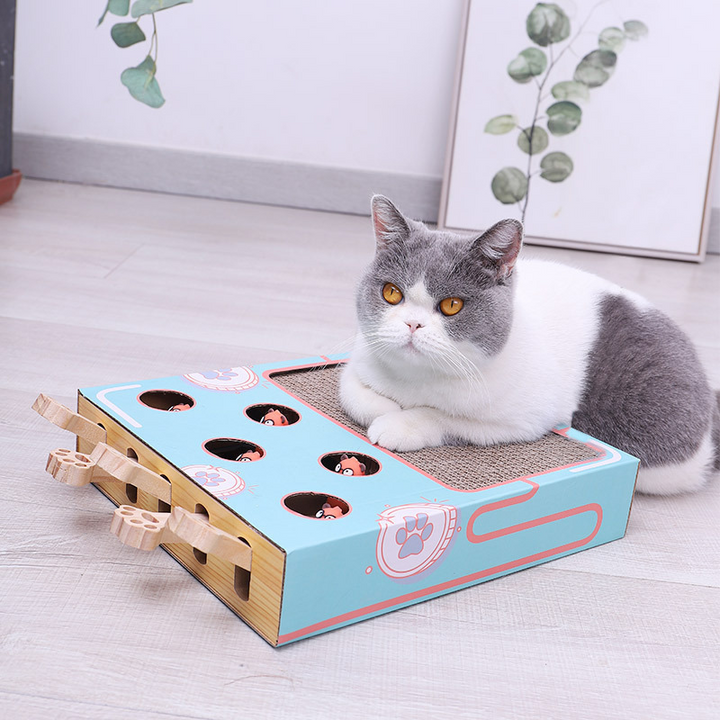 WhiskerPlay 3-in-1 interactive cat toy, featuring a scratching post, play balls, & puzzle elements for feline fun.
