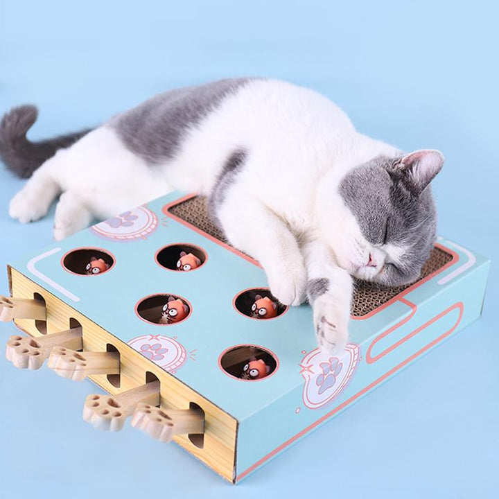 Eco-friendly WhiskerPlay 3-in-1 cat accessory, promoting active play & healthy scratching habits for all cats.