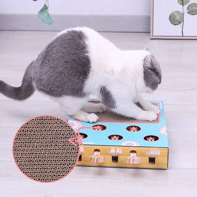 A happy cat batting at a spinning ball on the WhiskerPlay 3-in-1 interactive cat toy play station.