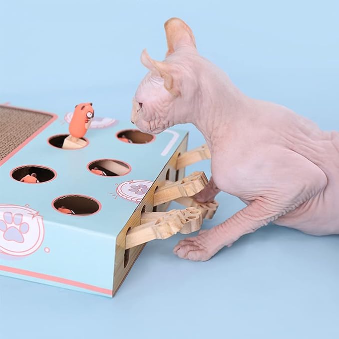 WhiskerPlay 3-in-1 interactive cat toy for pet enrichment. Features a sturdy scratching post & fun play elements.