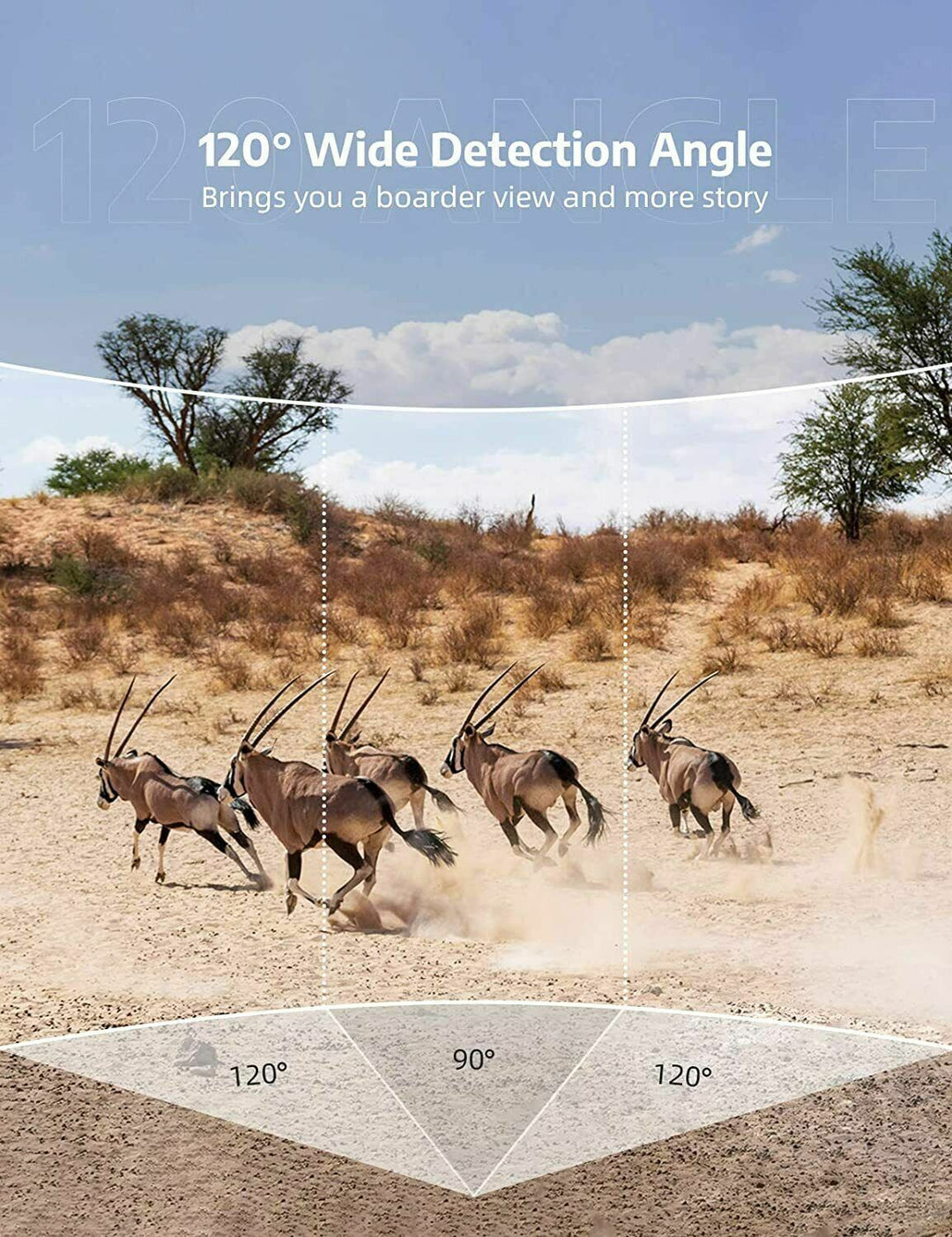 Motion-activated wireless wildlife camera for nature observation. Waterproof with HD video & photos, plus night vision.
