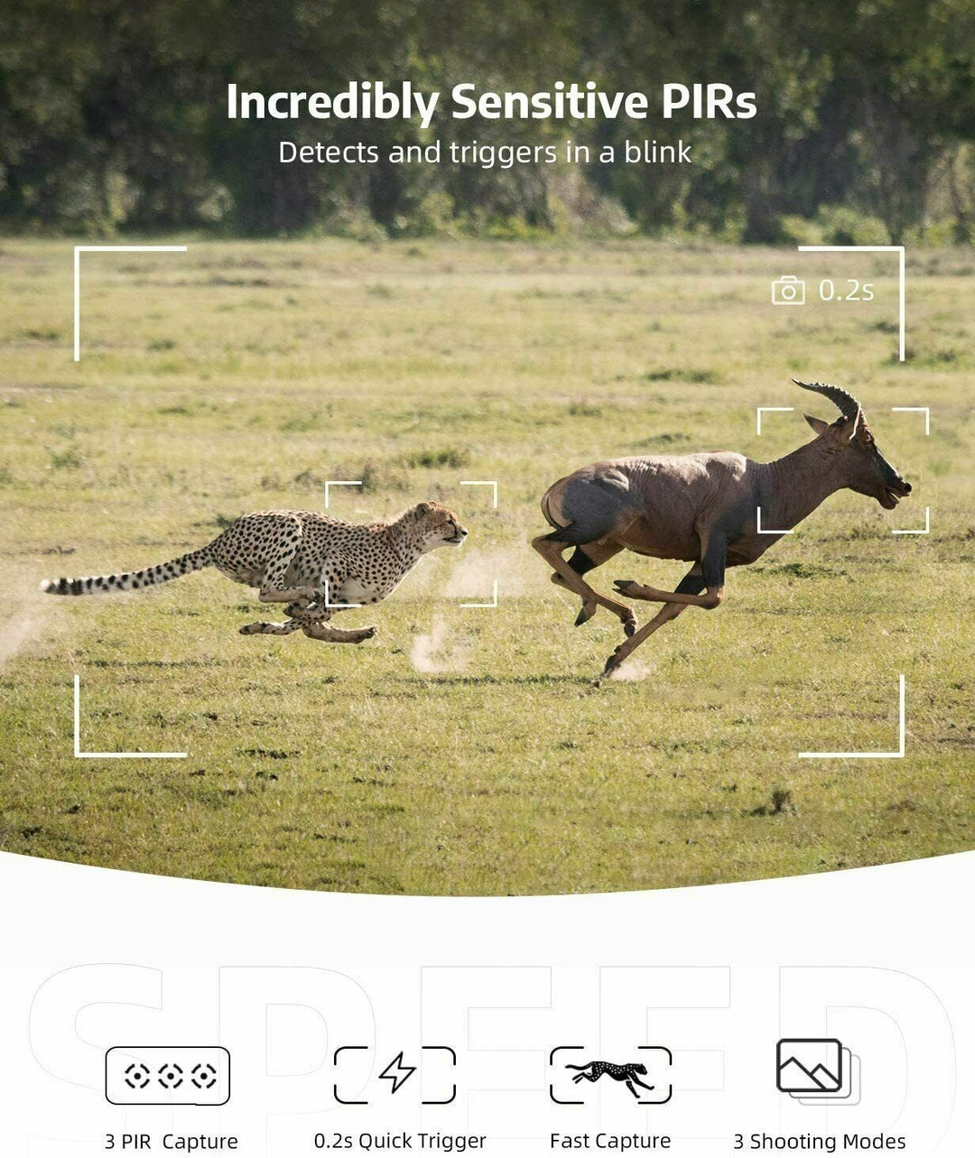 Rugged outdoor trail camera, wireless, with HD video & photos, motion sensor & night vision for game monitoring.