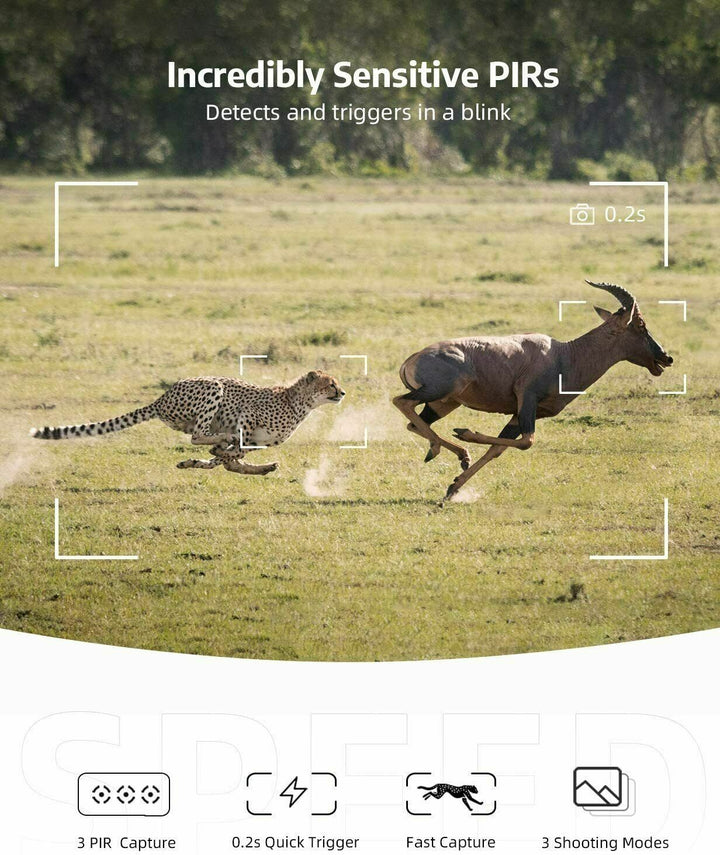 Rugged outdoor trail camera, wireless, with HD video & photos, motion sensor & night vision for game monitoring.