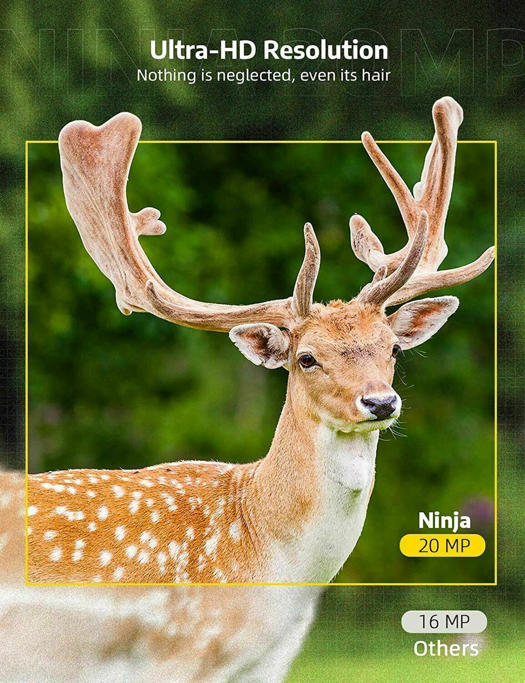 Versatile HD wildlife & hunting camera, waterproof, with night vision and motion-activated recording for outdoor use.