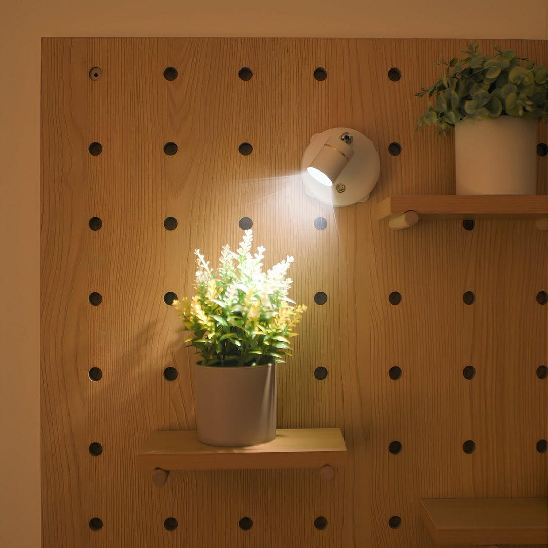 Wireless LED accent spotlight, LumaSpot, in modern office, illuminating a plant on a desk.