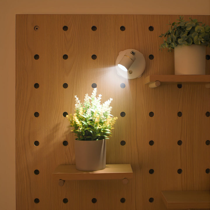 Wireless LED accent spotlight, LumaSpot, in modern office, illuminating a plant on a desk.