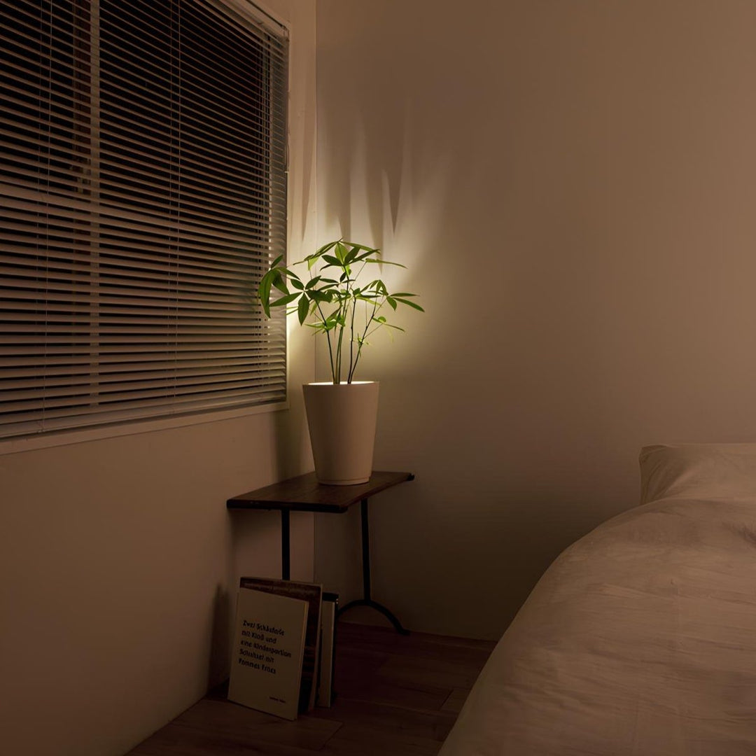 Portable LumaSpot LED spotlight, ideal for flexible lighting solutions in any room.
