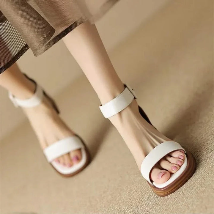 Brown Carina women's dress heels with a comfortable block heel, ankle strap & durable non-slip sole.