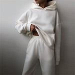 Arctic White