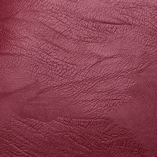 Front view of a women's water-resistant leather backpack, ideal everyday carry & fashion accessory.
