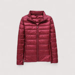 Bordeaux Red