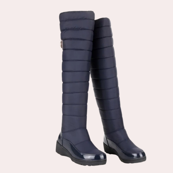 Women's warm, tall over-the-knee boots, ideal for stylish winter outfits and cold weather comfort.