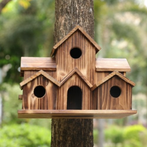 Close-up of Nestora functional wooden birdhouse for outdoor garden birds