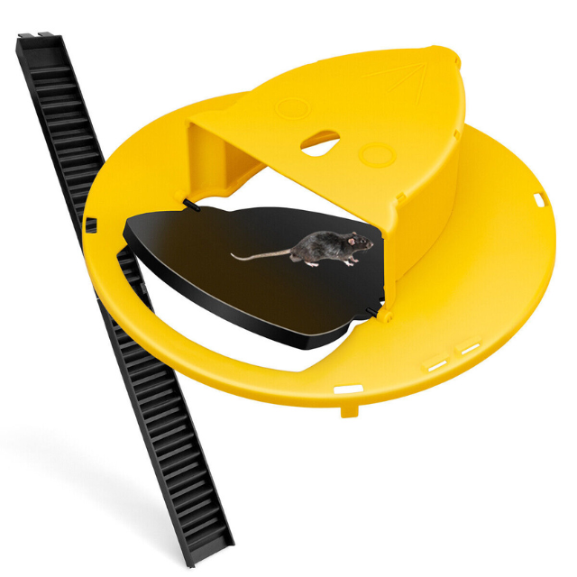 Safe pest solution: yellow humane auto reset bucket mouse trap. No-kill rodent control.