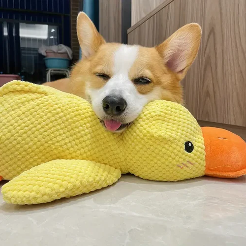 Calming duck dog toy with squeaker, designed to relieve anxiety & provide mental stimulation for all breeds.